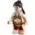 Princess Leia in Slave Outfit (75020)