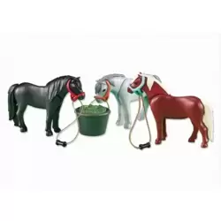 3 poneys avec mangeoire