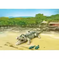 Alligator avec bébés