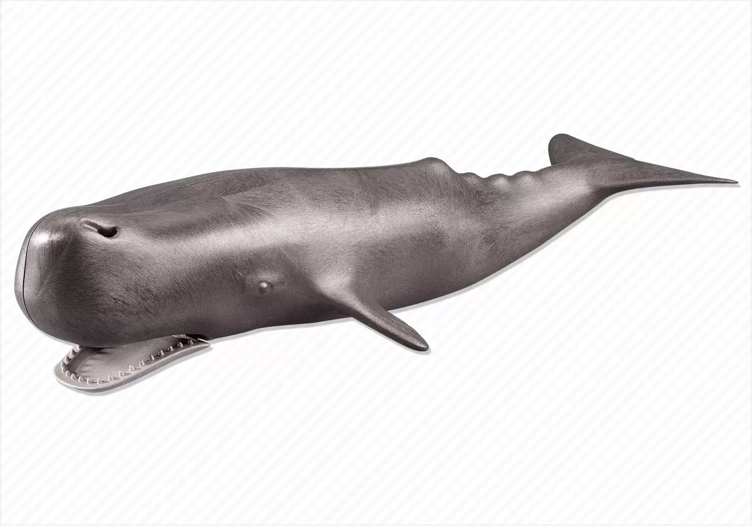 Plamobil Animal Sets - Whale