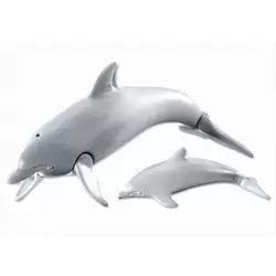 Dolphin with Calf