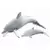 Dolphin with Calf
