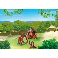 Deux orangs-outangs avec bébé