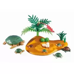 Turtle with Babies