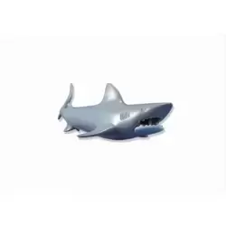 Un requin