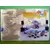 Super Smurfs - Keyboard