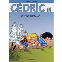 Cygne d'étang