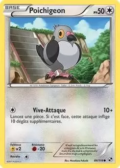 Pokémon Série Noir et Blanc - Poichigeon