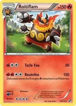 Pokémon Série Noir et Blanc - Roitiflam