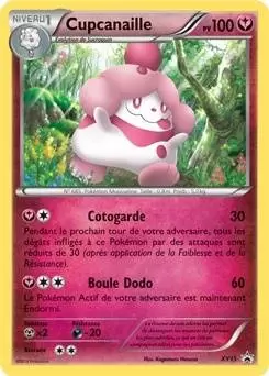 Cartes Promo Black Star XY - Cupcanaille