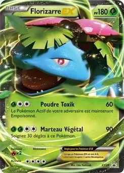 Cartes Promo Black Star XY - Florizarre EX