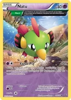 Pokémon XY Ciel rugissant - Natu