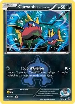 Pokémon XY Double Danger - Carvanha de la Team Aqua