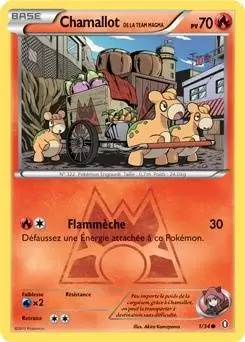 Pokémon XY Double Danger - Chamallot de la Team Magma