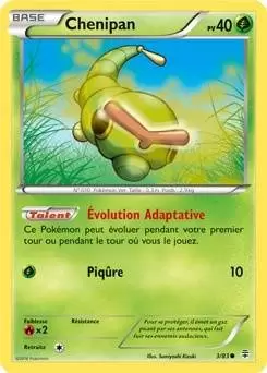 Pokémon XY Générations - Chenipan