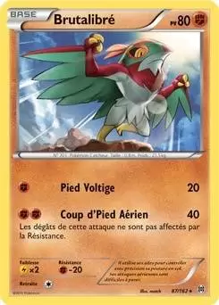 Pokémon XY Impulsion Turbo - Brutalibré