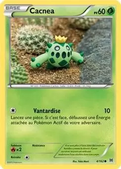 Pokémon XY Impulsion Turbo - Cacnea