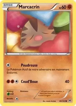 Pokémon XY Impulsion Turbo - Marcacrin