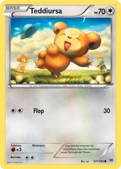 Pokémon XY Impulsion Turbo - Teddiursa