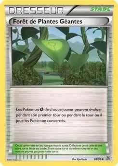 Pokémon XY Origines antiques - Forêt de Plantes Géantes