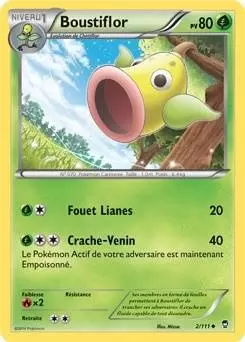 Pokémon XY Poings furieux - Boustiflor