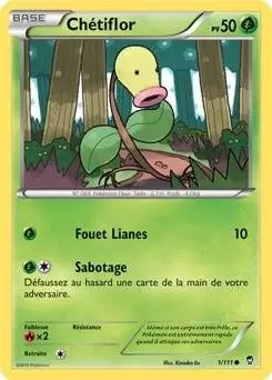 Pokémon XY Poings furieux - Chétiflor