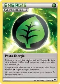 Pokémon XY Poings furieux - Phyto-Énergie