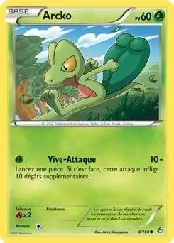 Pokémon XY Primo Choc - Arcko