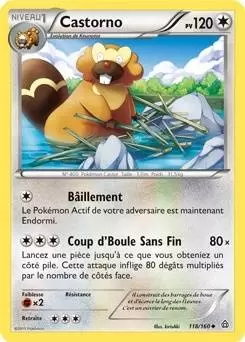 Pokémon XY Primo Choc - Castorno