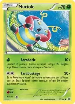 Pokémon XY Primo Choc - Muciole