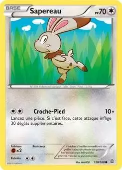 Pokémon XY Primo Choc - Sapereau