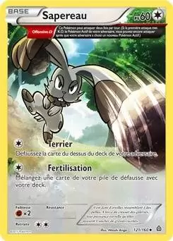 Pokémon XY Primo Choc - Sapereau