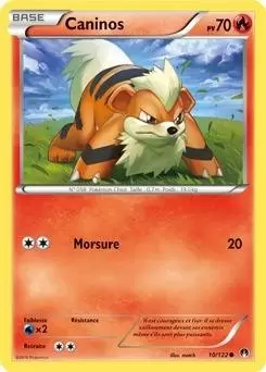 Pokémon XY Rupture Turbo - Caninos