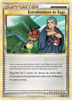 Pokémon Série HS-Indomptable - Entraînement de Sage