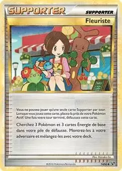 Pokémon Série HS-Indomptable - Fleuriste