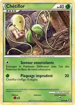 Pokémon Série HS-Triomphe - Chétiflor