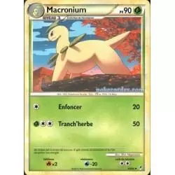 Pokémon L\'appel des Légendes - Macronium