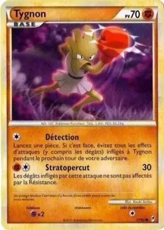 Pokémon L\'appel des Légendes - Tygnon