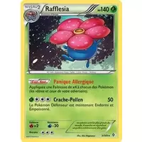 Rafflesia Holographique