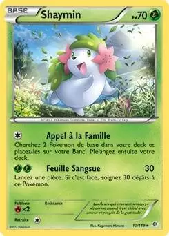 Frontières Franchies - Shaymin