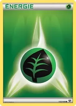 Série XY - Énergie Plante