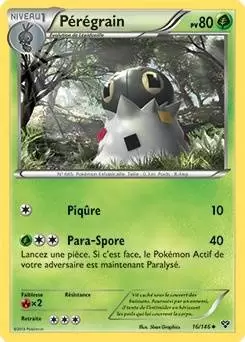 Série XY - Pérégrain