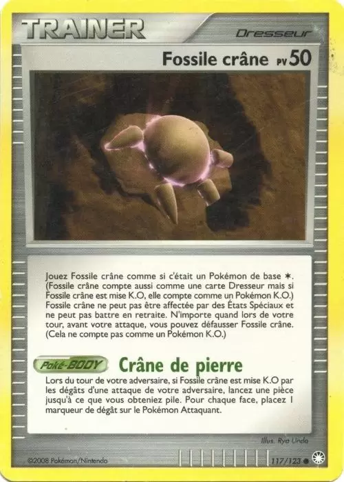 Trésors Mystérieux - Fossile Crâne