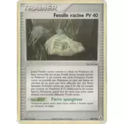 Fossile racine