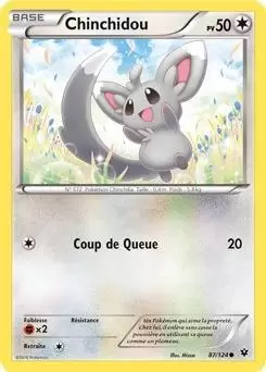 Pokémon XY Impact des destins - Chinchidou