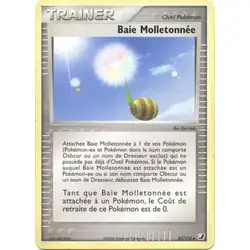 Baie Molletonnée