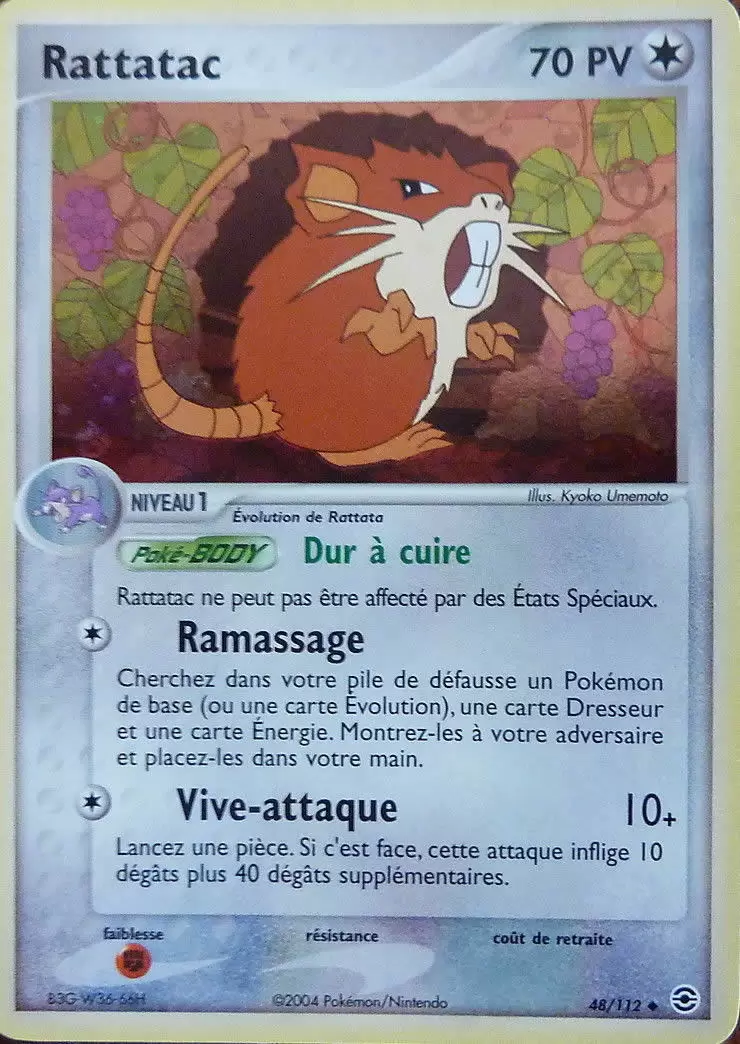 EX Rouge Feu & Vert Feuille - Rattatac