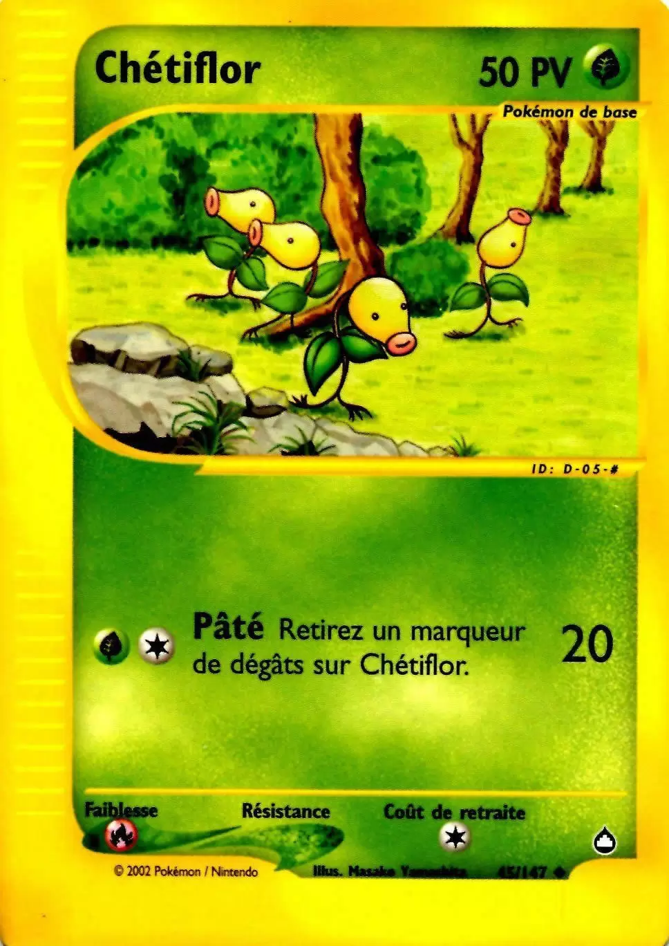 Aquapolis - Chétiflor