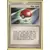 Poké Balle