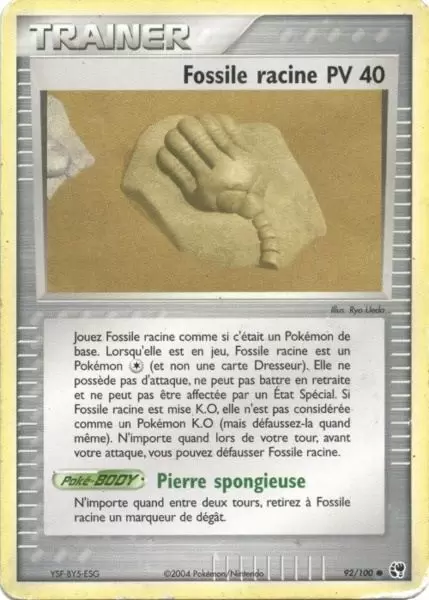 EX Tempête de Sable - Fossile racine